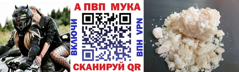 Alfa_PVP СК Гусиноозёрск