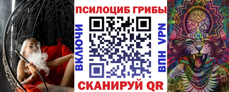 Галлюциногенные грибы Psilocybe Гусиноозёрск